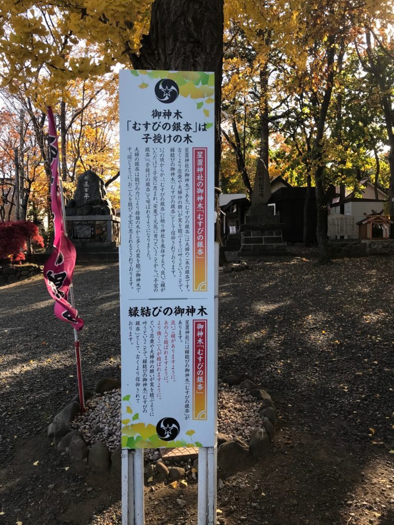 大金星を掴める星置神社 北海道のかっこいい御朱印 ハローグ ハリネズミの御朱印旅ブログ